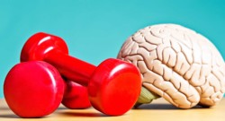 Neurogenesis and Exercising Your Brain