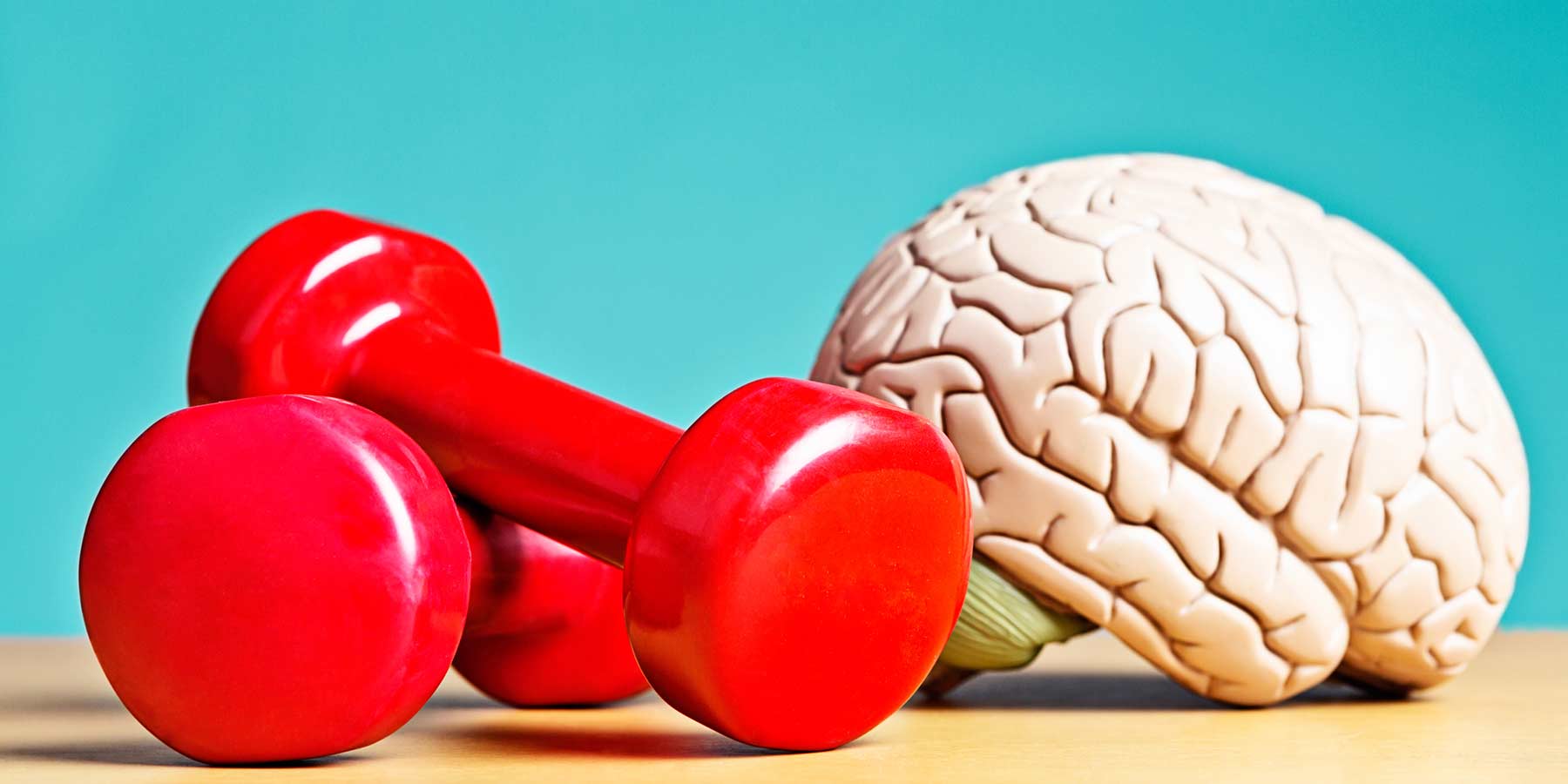 Neurogenesis and Exercising Your Brain