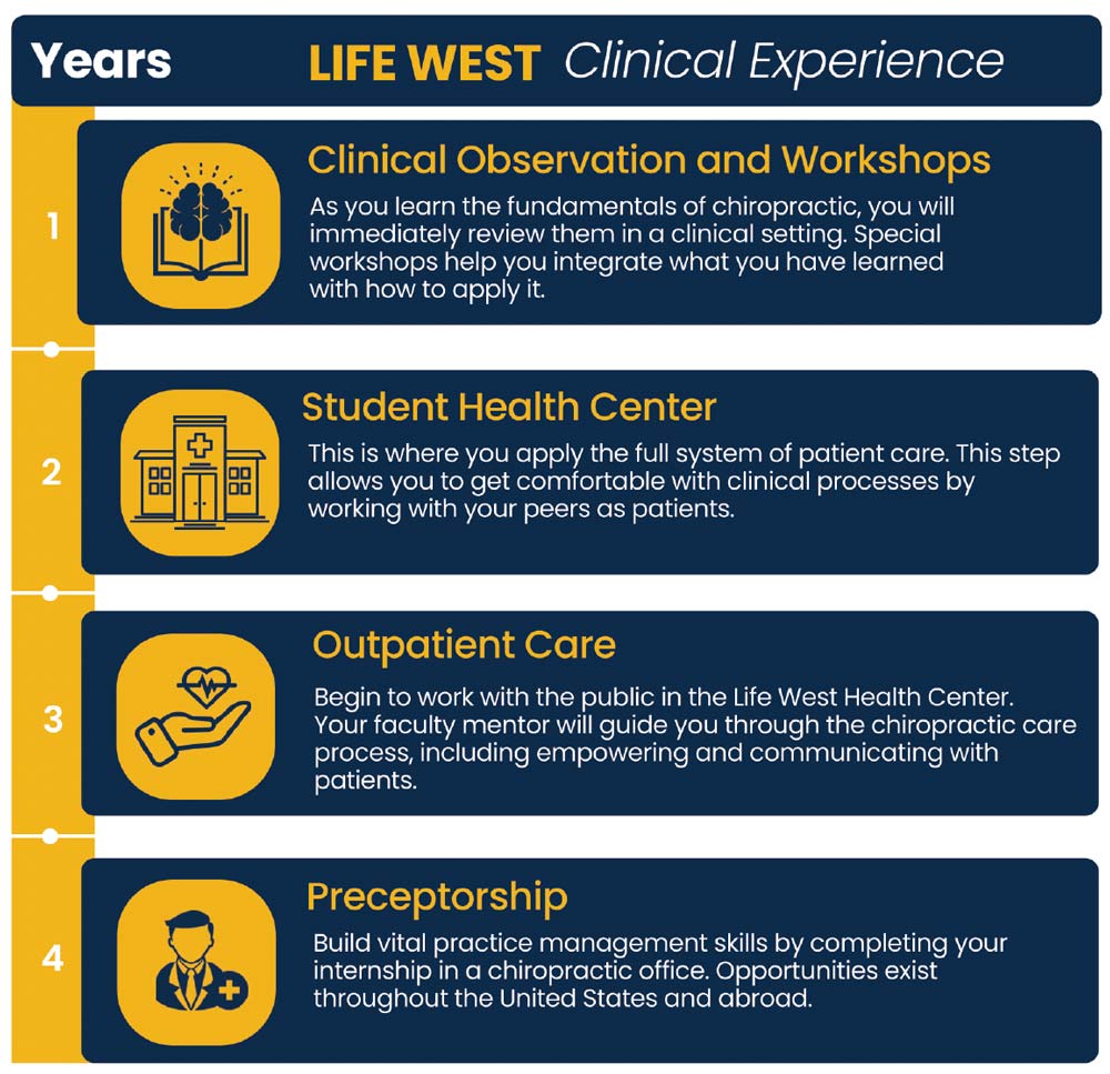 Graphic outlining what each year of clinic experience looks like at Chiropractic College