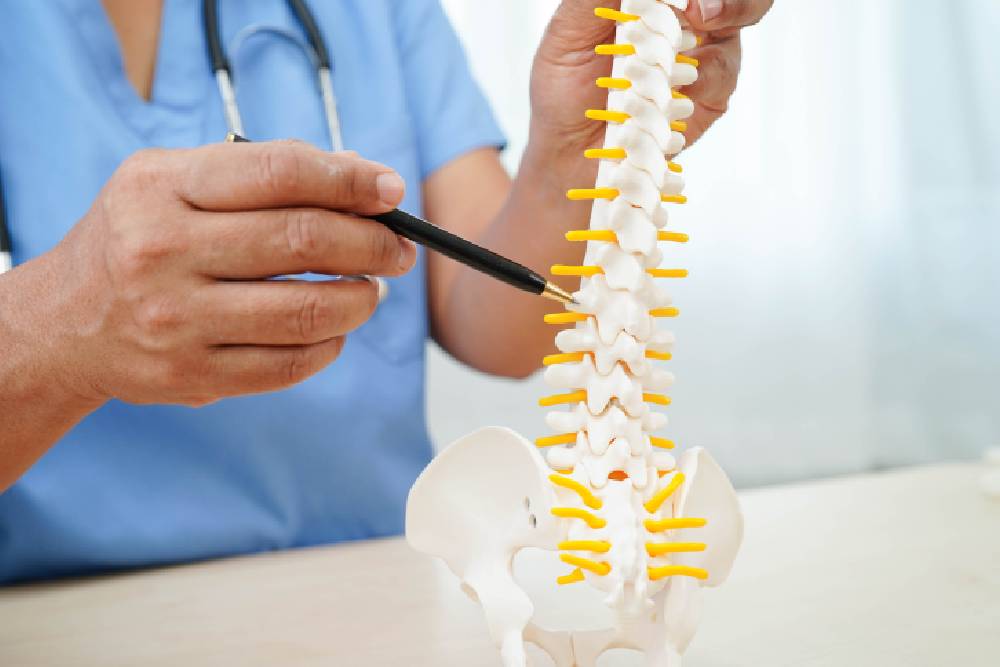 is a doctor of chiropractic degree worth it