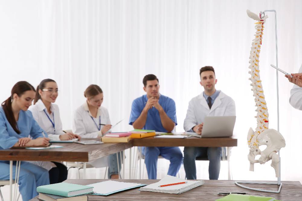 life as a chiropractic student what to expect