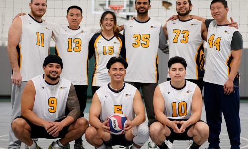 HERO lifewest volleyball 1000sq