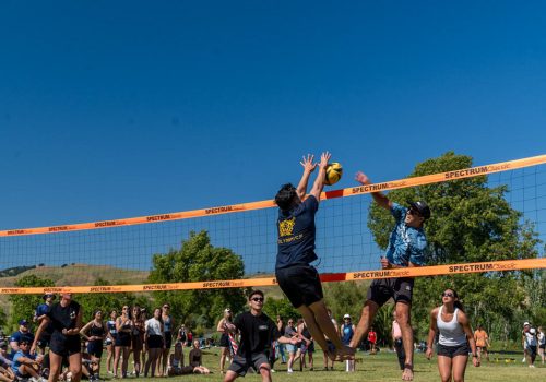 HERO spring for life volleyball 1000