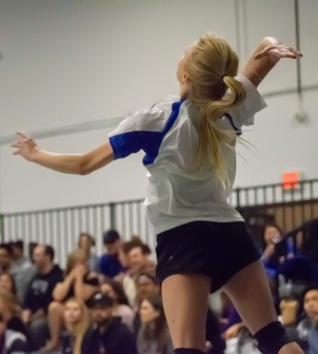 HERO womens volleyball 1000sq